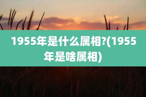 1955年是什么属相?(1955年是啥属相)