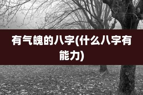 有气魄的八字(什么八字有能力)