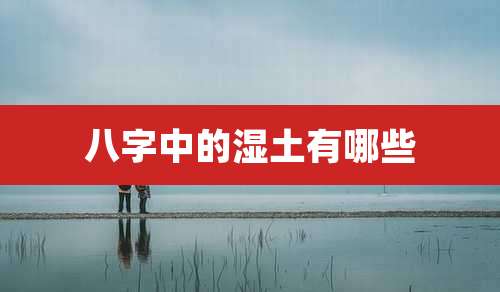 八字中的湿土有哪些