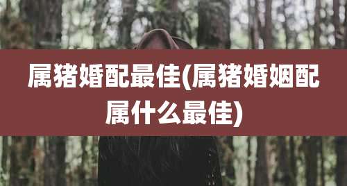 属猪婚配最佳(属猪婚姻配属什么最佳)