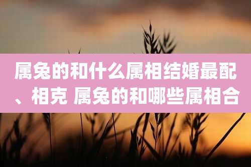 属兔的和什么属相结婚最配、相克 属兔的和哪些属相合