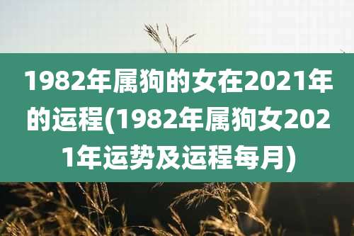 1982年属狗的女在2021年的运程(1982年属狗女2021年运势及运程每月)