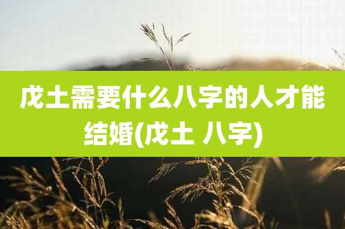 戊土需要什么八字的人才能结婚(戊土 八字)