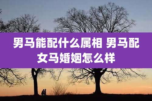 男马能配什么属相 男马配女马婚姻怎么样