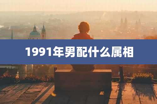 1991年男配什么属相