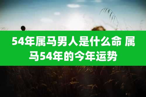 54年属马男人是什么命 属马54年的今年运势