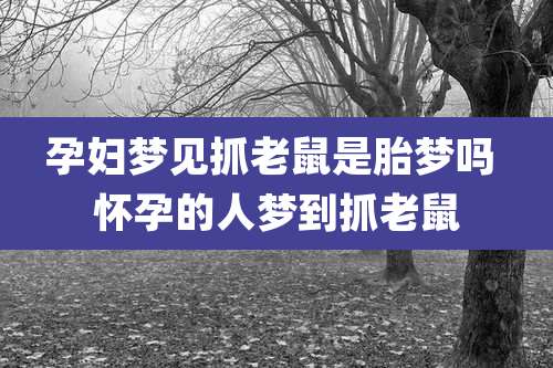 孕妇梦见抓老鼠是胎梦吗 怀孕的人梦到抓老鼠