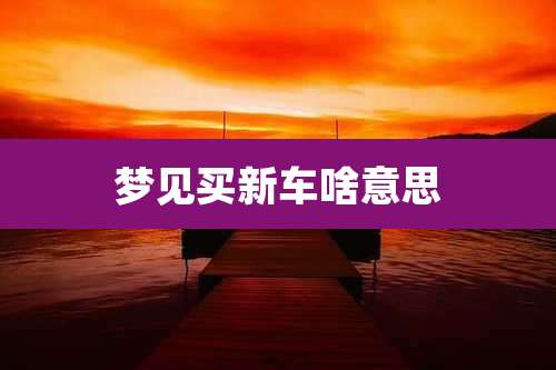 梦见买新车啥意思