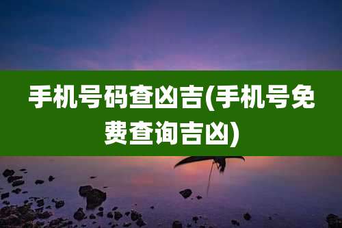 手机号码查凶吉(手机号免费查询吉凶)