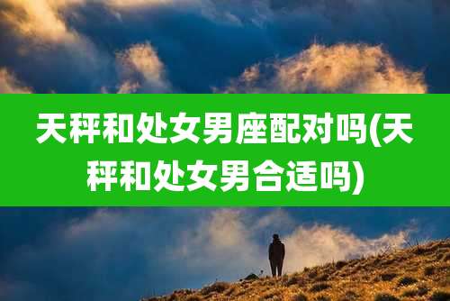 天秤和处女男座配对吗(天秤和处女男合适吗)