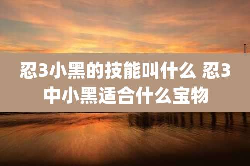忍3小黑的技能叫什么 忍3中小黑适合什么宝物