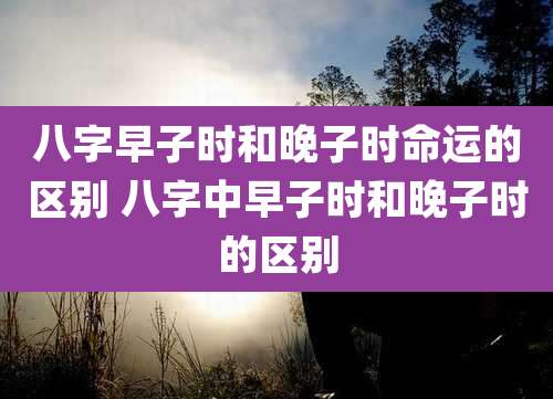 八字早子时和晚子时命运的区别 八字中早子时和晚子时的区别