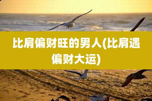 比肩偏财旺的男人(比肩遇偏财大运)