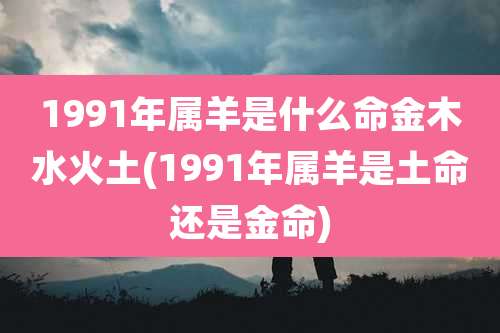 1991年属羊是什么命金木水火土(1991年属羊是土命还是金命)