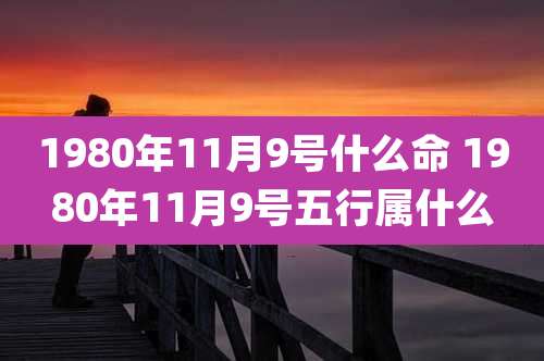 1980年11月9号什么命 1980年11月9号五行属什么