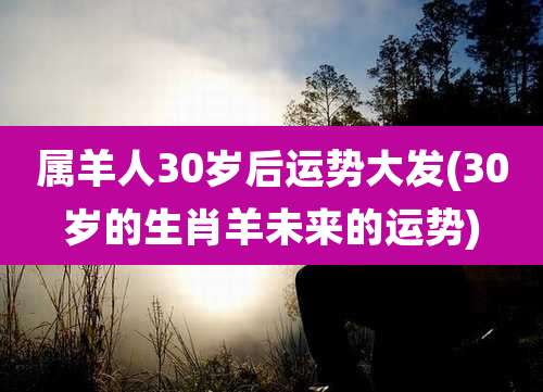 属羊人30岁后运势大发(30岁的生肖羊未来的运势)