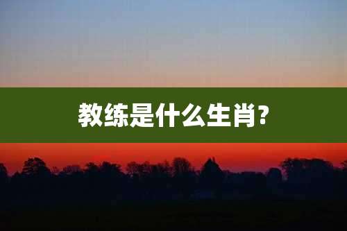 教练是什么生肖?