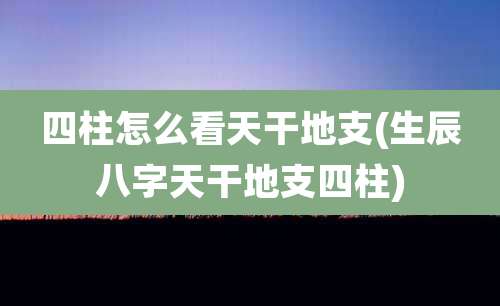 四柱怎么看天干地支(生辰八字天干地支四柱)