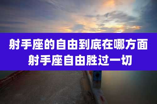 射手座的自由到底在哪方面 射手座自由胜过一切