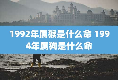 1992年属猴是什么命 1994年属狗是什么命