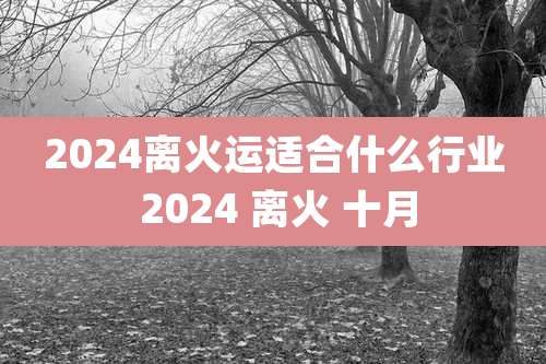 2024离火运适合什么行业 2024 离火 十月