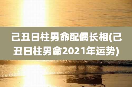 己丑日柱男命配偶长相(己丑日柱男命2021年运势)