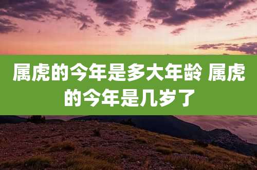 属虎的今年是多大年龄 属虎的今年是几岁了