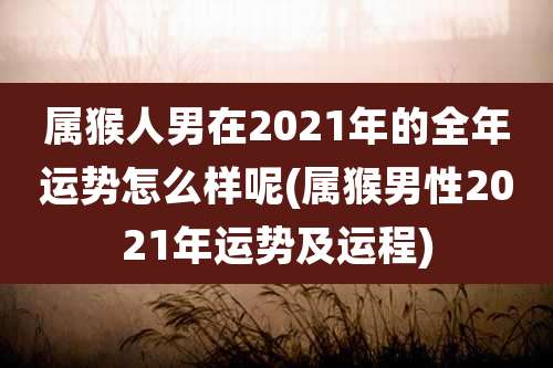 属猴人男在2021年的全年运势怎么样呢(属猴男性2021年运势及运程)