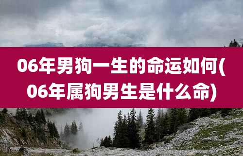 06年男狗一生的命运如何(06年属狗男生是什么命)