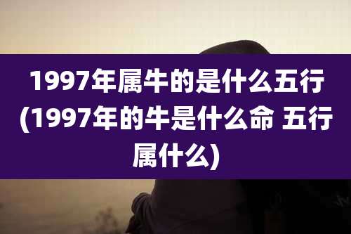 1997年属牛的是什么五行(1997年的牛是什么命 五行属什么)