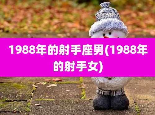 1988年的射手座男(1988年的射手女)