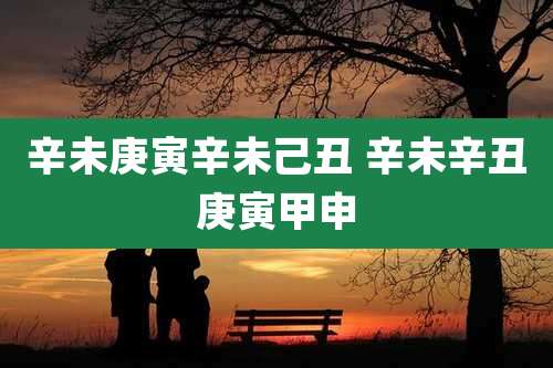 辛未庚寅辛未己丑 辛未辛丑庚寅甲申