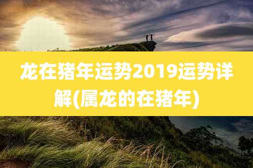 龙在猪年运势2019运势详解(属龙的在猪年)