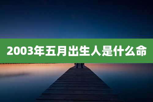 2003年五月出生人是什么命