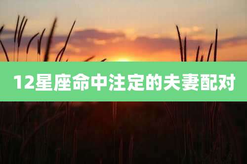 12星座命中注定的夫妻配对