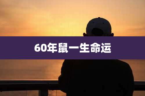 60年鼠一生命运