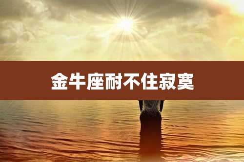 金牛座耐不住寂寞