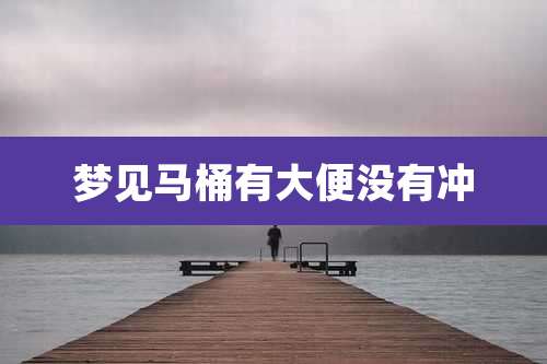 梦见马桶有大便没有冲