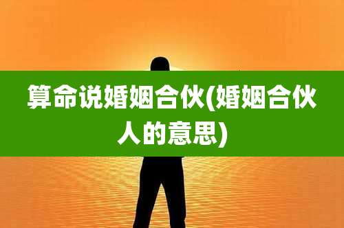 算命说婚姻合伙(婚姻合伙人的意思)