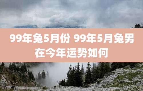 99年兔5月份 99年5月兔男在今年运势如何