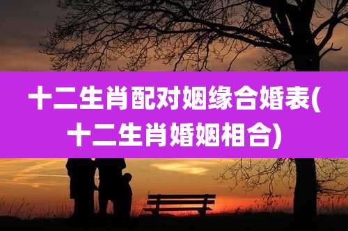 十二生肖配对姻缘合婚表(十二生肖婚姻相合)