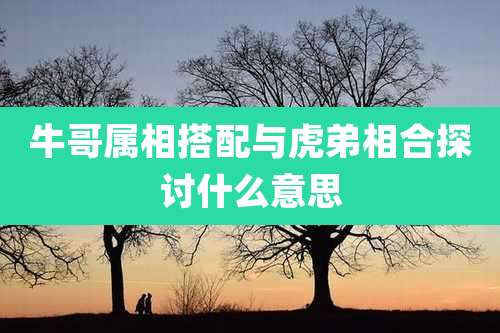 牛哥属相搭配与虎弟相合探讨什么意思