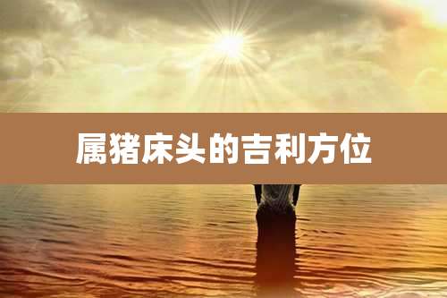 属猪床头的吉利方位