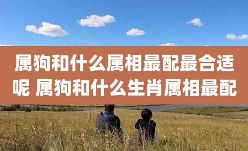 属狗和什么属相最配最合适呢 属狗和什么生肖属相最配