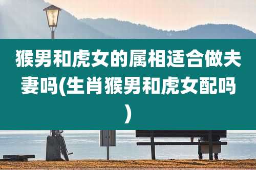 猴男和虎女的属相适合做夫妻吗(生肖猴男和虎女配吗)