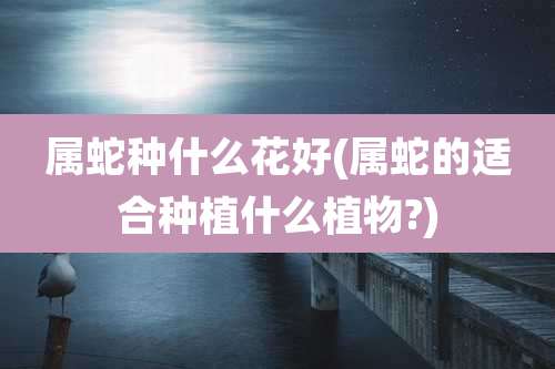 属蛇种什么花好(属蛇的适合种植什么植物?)