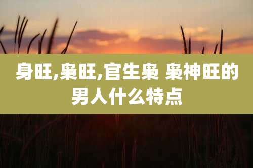 身旺,枭旺,官生枭 枭神旺的男人什么特点