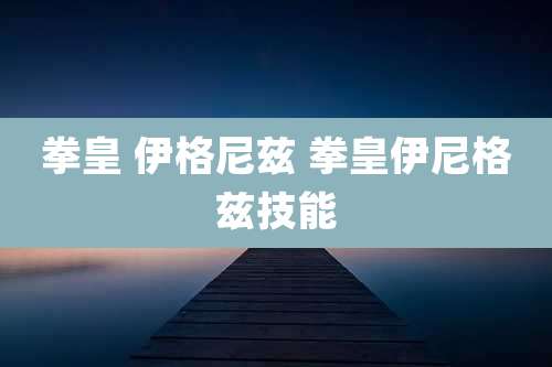 拳皇 伊格尼兹 拳皇伊尼格兹技能