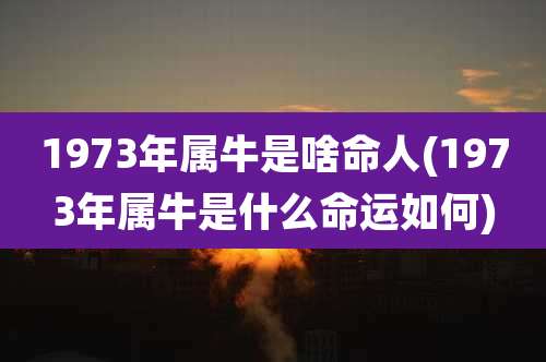 1973年属牛是啥命人(1973年属牛是什么命运如何)