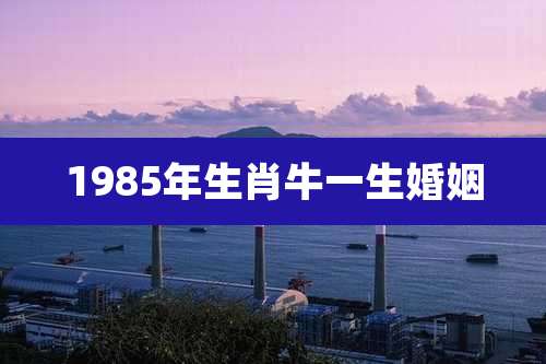 1985年生肖牛一生婚姻